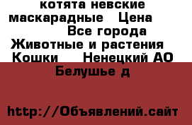 котята невские маскарадные › Цена ­ 18 000 - Все города Животные и растения » Кошки   . Ненецкий АО,Белушье д.